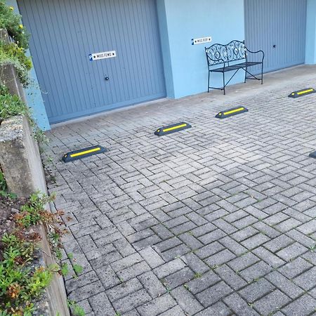 Miu'S Ferienwohnung Alpirsbach Eksteriør billede